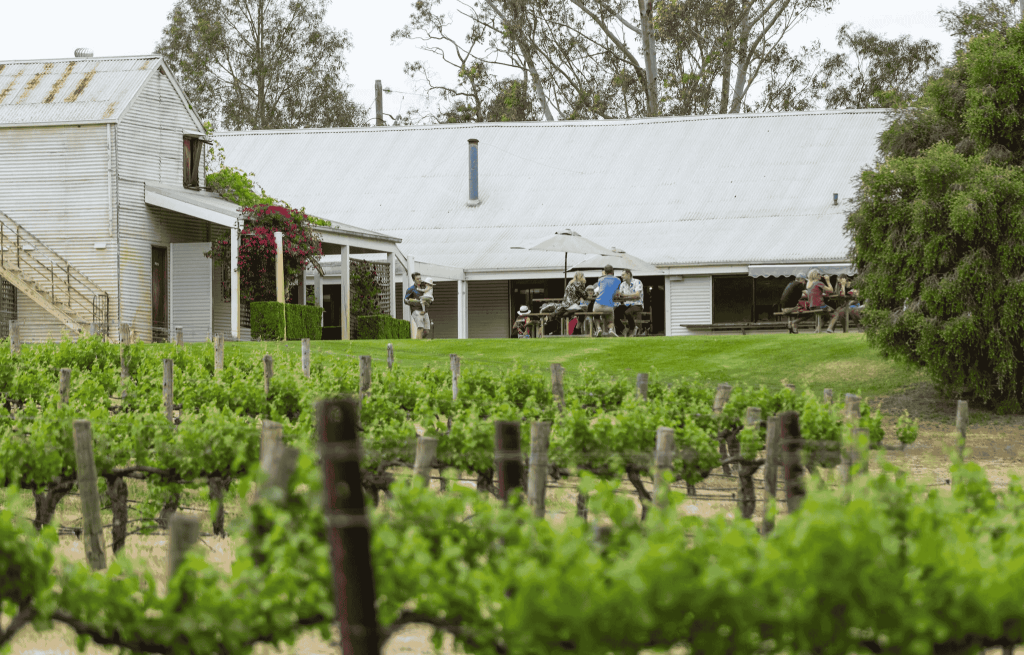 Squires Winery